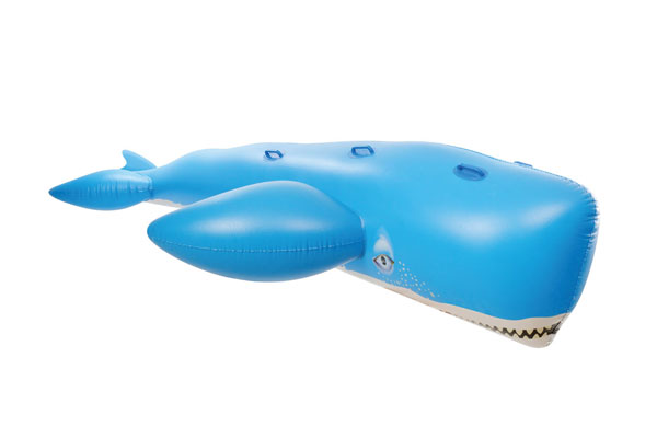 whale pool float